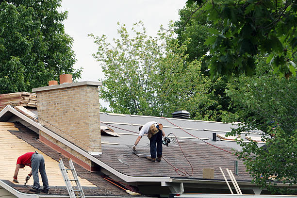 Best Roof Moss and Algae Removal  in Rochester, WA